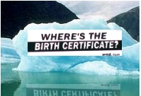 Photo of iceberg with "Where's the Birth Certificate" billboard