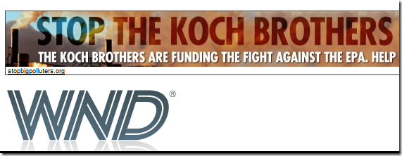 Banner ad "Stop the Koch Brothers"