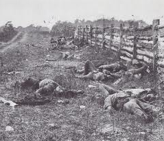 Photo of Civil War dead along split rail fence