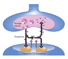 Dopamine