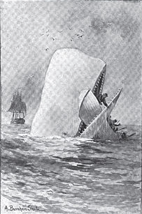 Moby Dick drawing