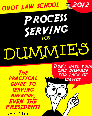 "Process Service for Dummies" book mock-up