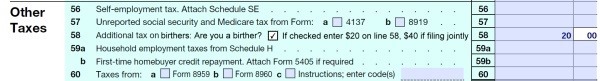 birther tax
